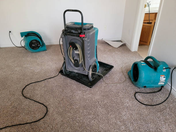 Best Water damage restoration specialists  in Nazareth College, NY