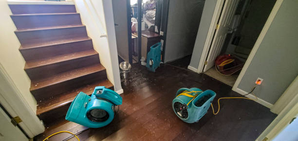 Best 24/7 water damage repair  in Nazareth College, NY